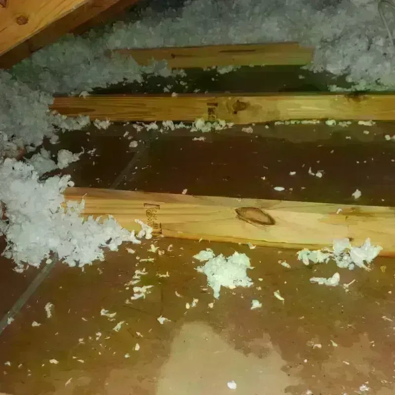 Attic Water Damage in Dallas, PA