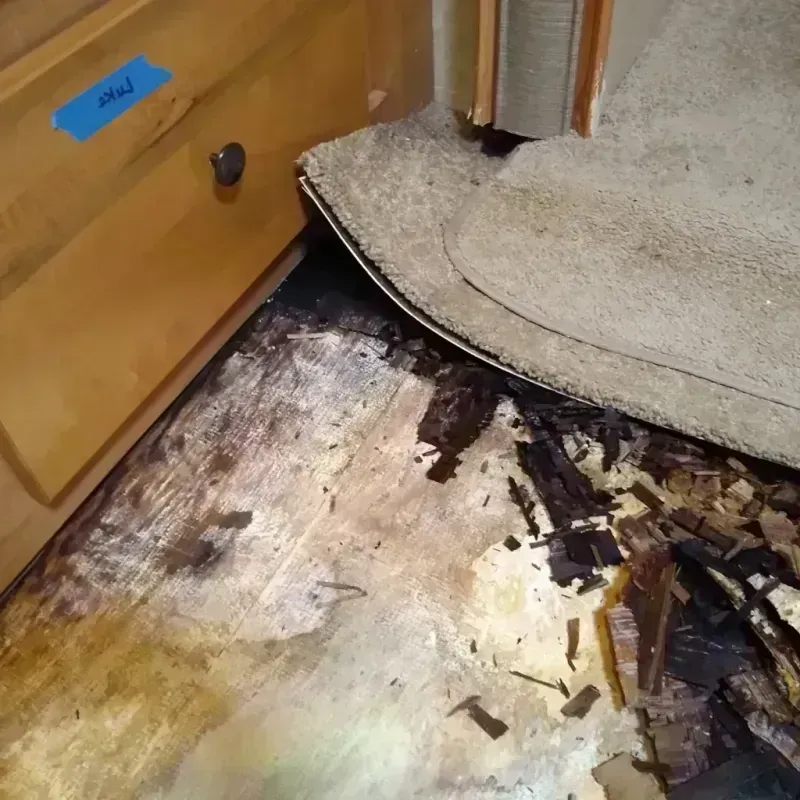 Best Wood Floor Water Damage Service in Dallas, PA